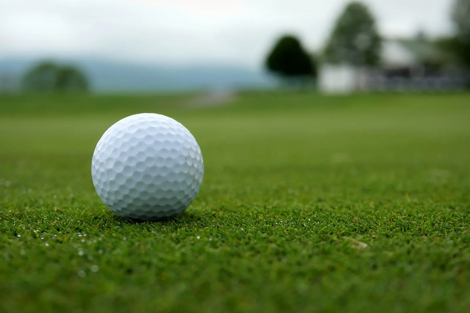 Balle de golf posée sur le green d'un parcours