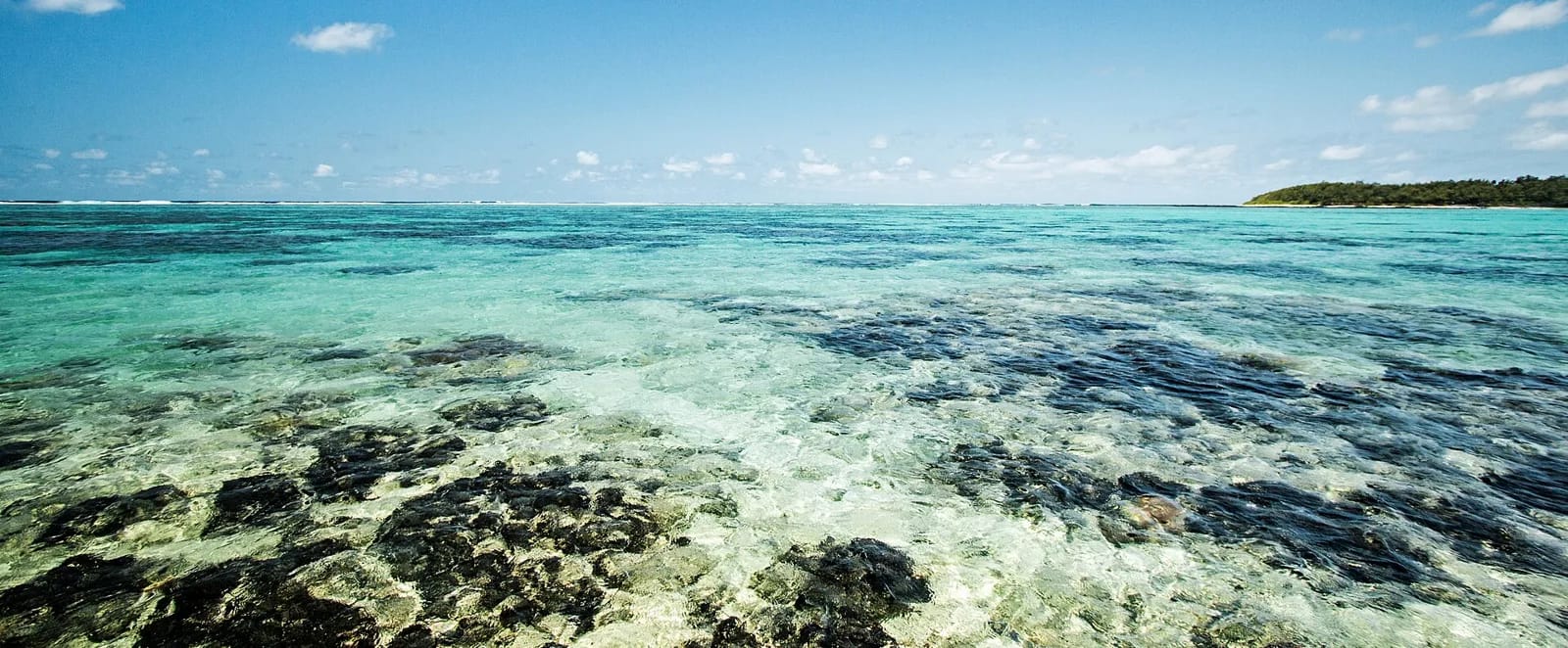 Lagon turquoise de Blue Bay avec ses patates de corail visibles sous l'eau transparente, sud-est de l'île Maurice