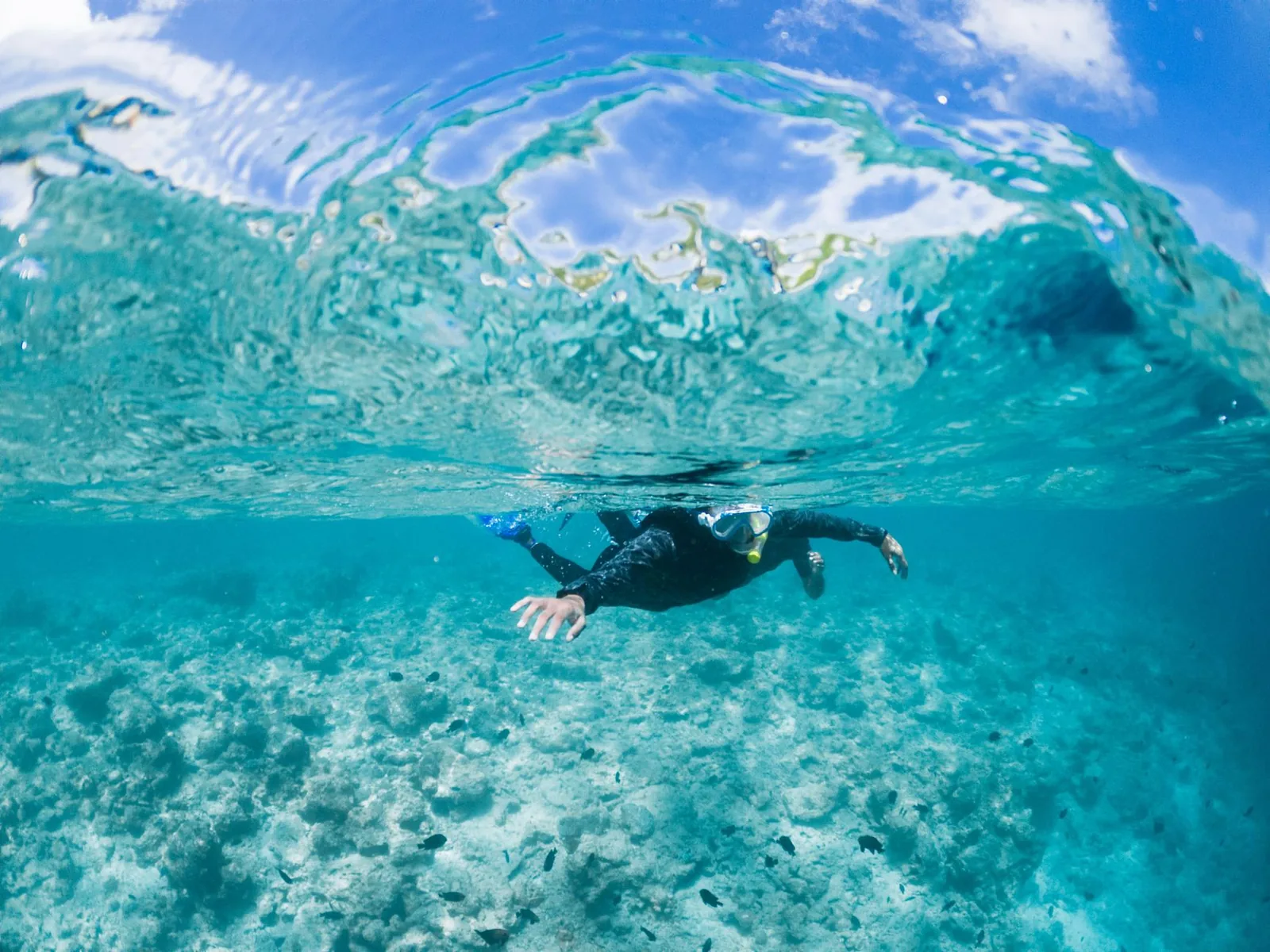 Snorkeleur au-dessus d'un récif peu profond dans une eau turquoise transparente