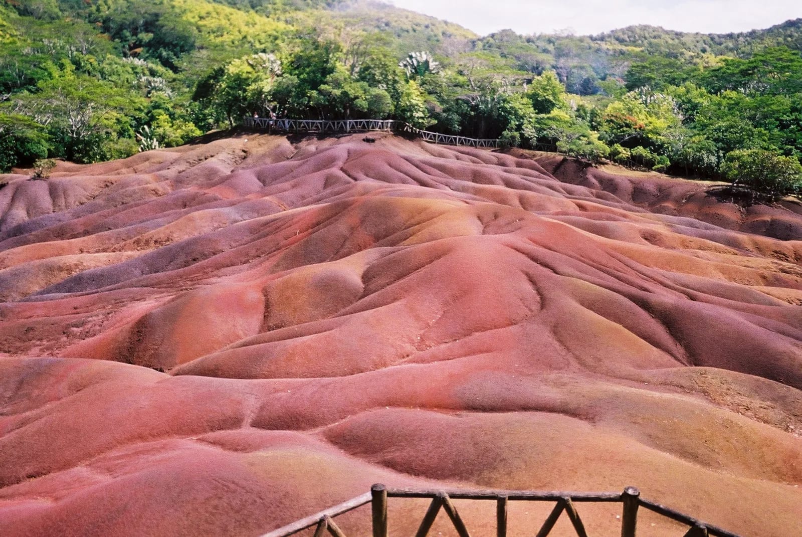 Dunes de sable rouge, brun et violet de la Terre des Sept Couleurs à Chamarel, bordées par la forêt