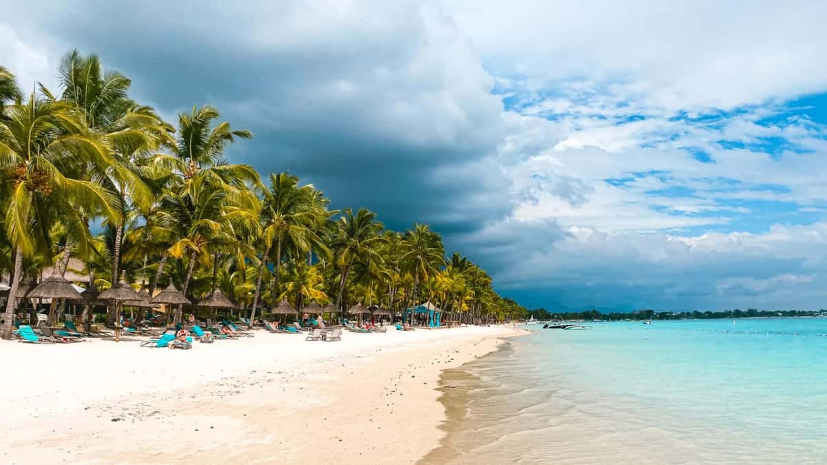 Plage de Trou aux Biches bordée de palmiers