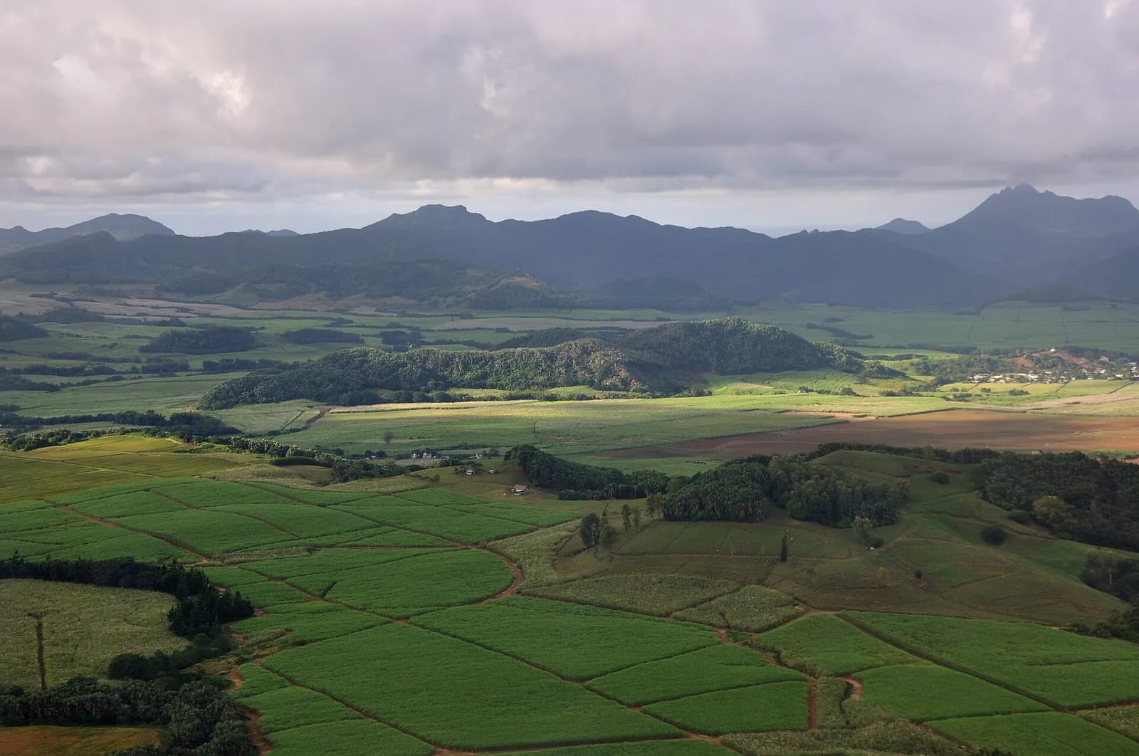 Champs de canne à sucre et chaîne de montagnes vus depuis Rose Belle, sud de l'île Maurice