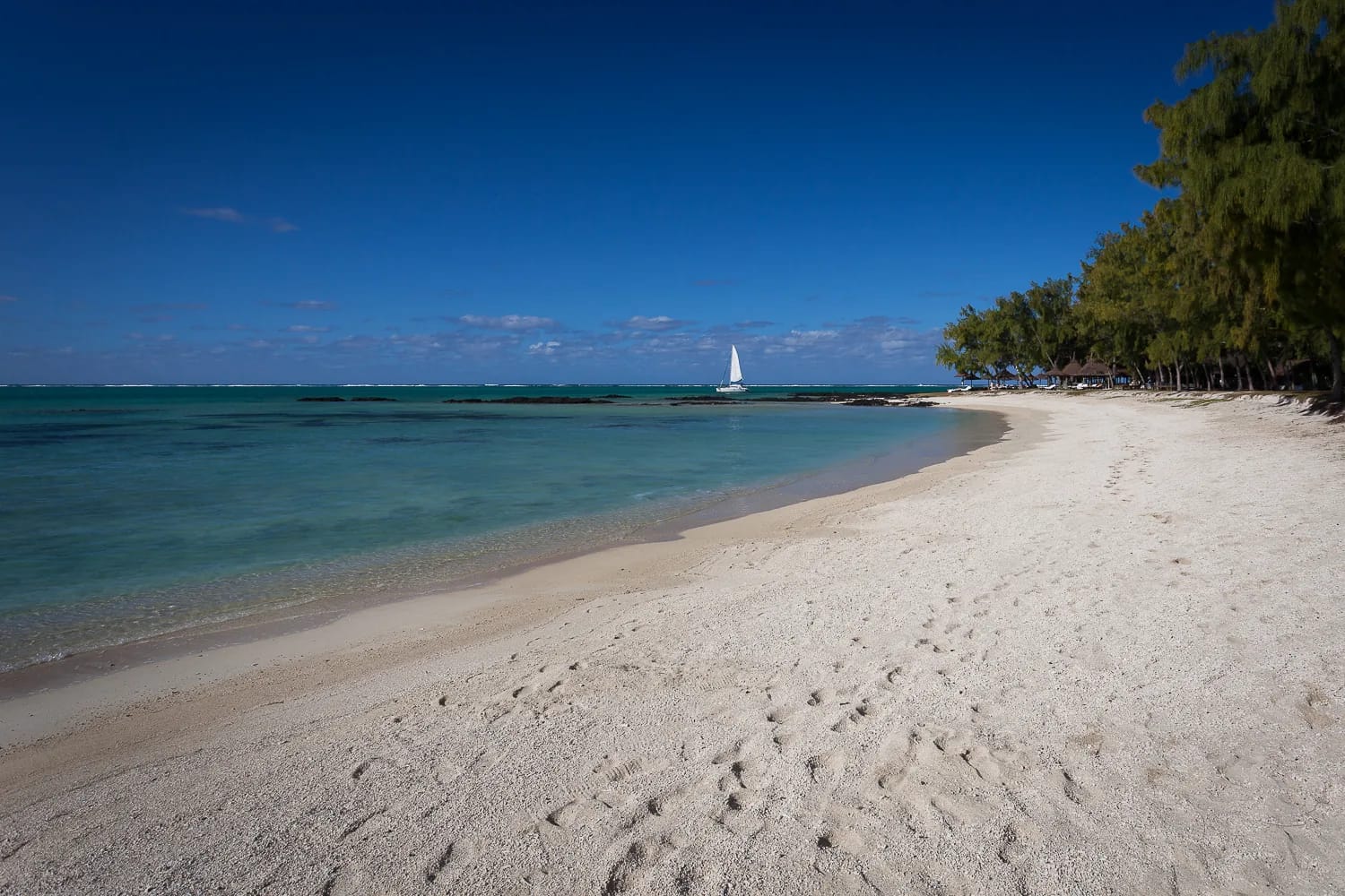 Plage de sable blanc bordée de filaos et lagon turquoise sur l'îlot Mangénie, sud-est de l'île Maurice