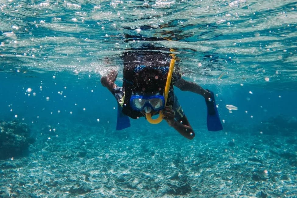 Snorkeler avec masque et palmes au-dessus d'un fond corallien en eau claire, île Maurice
