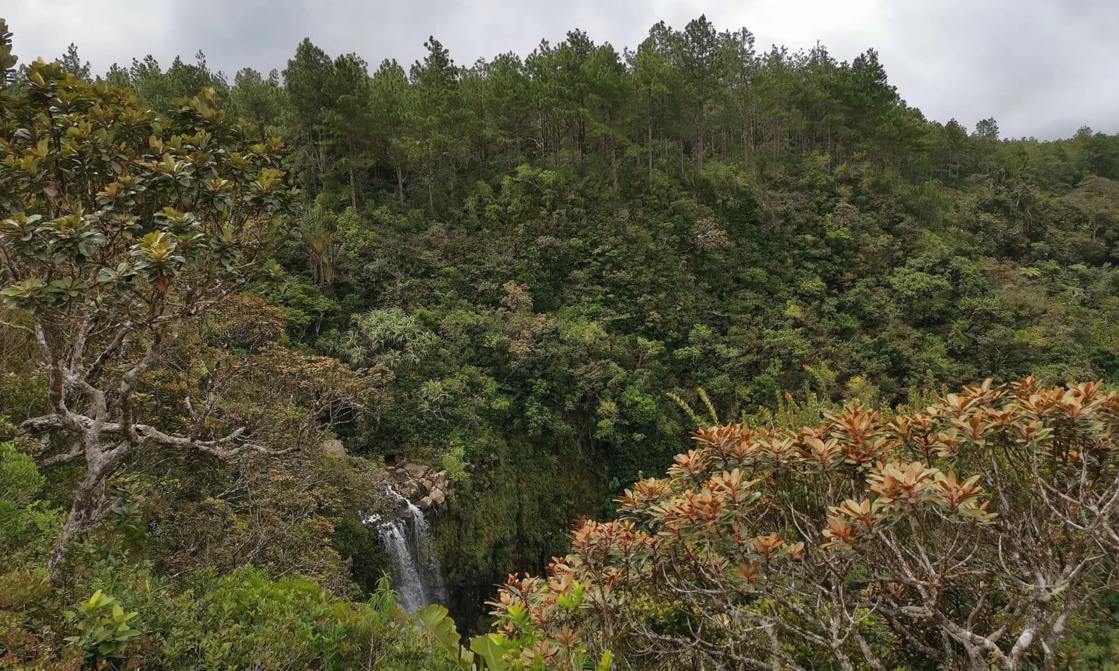 Alexandra Falls vue depuis le belvédère, au fond de la forêt des gorges de la Rivière Noire, Maurice