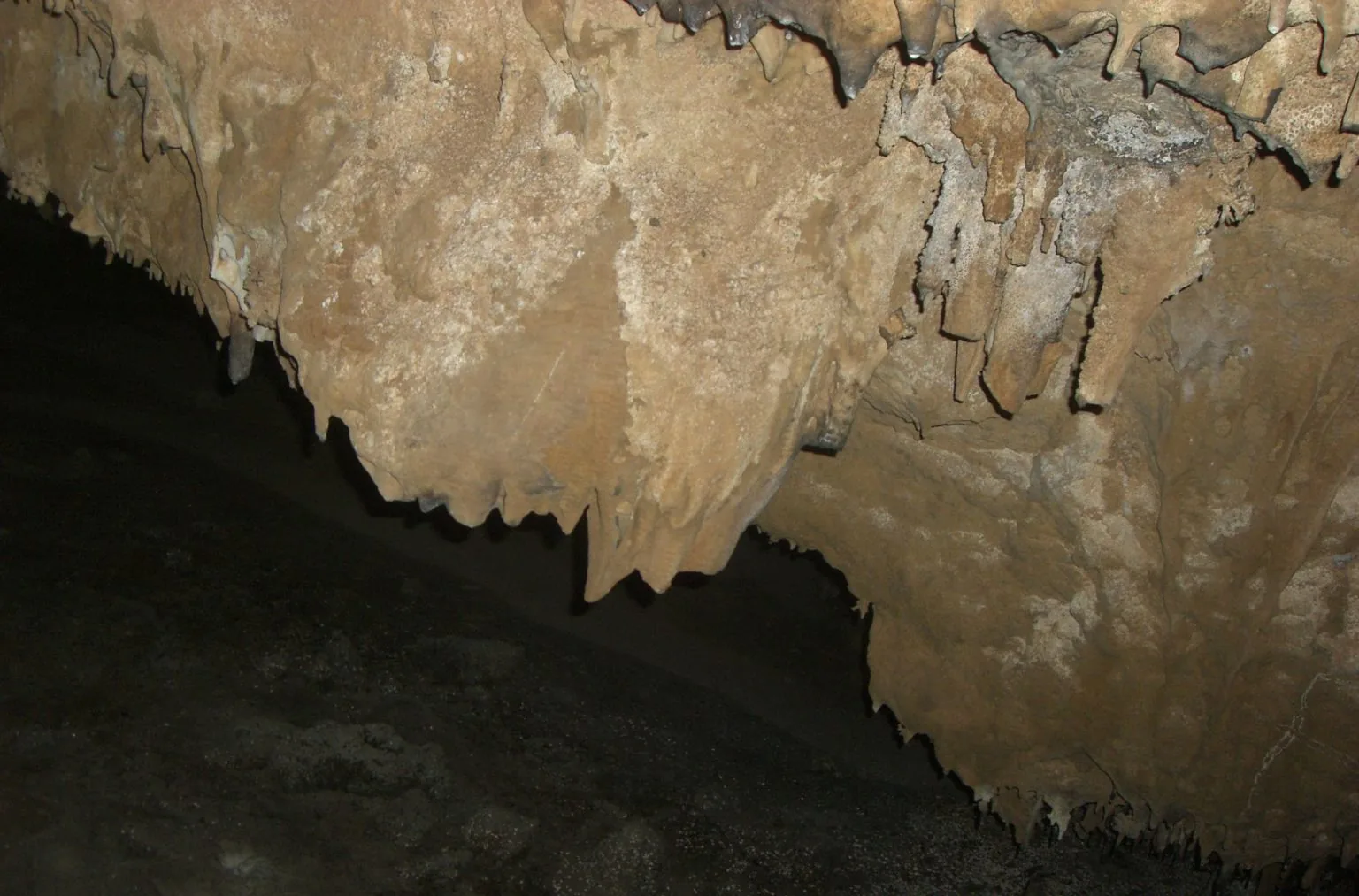 Voûte rocheuse à l'intérieur de la Caverne Patate, Rodrigues