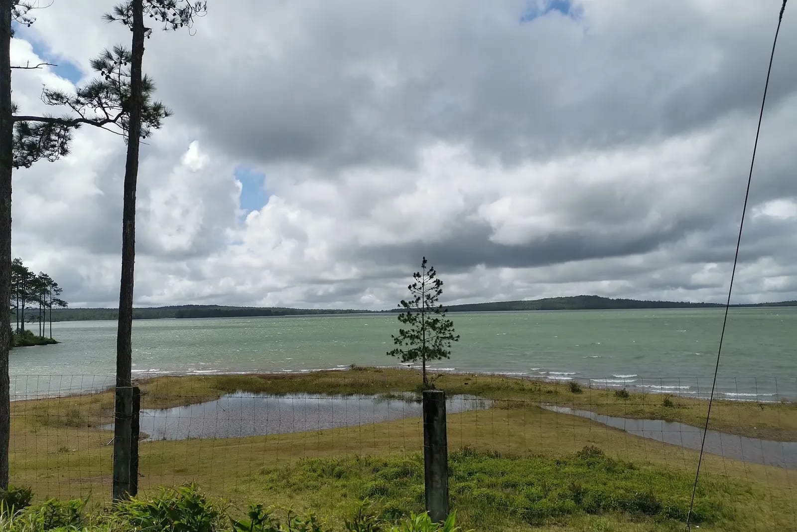 Le réservoir de Mare aux Vacoas vu depuis la rive, entre des pins