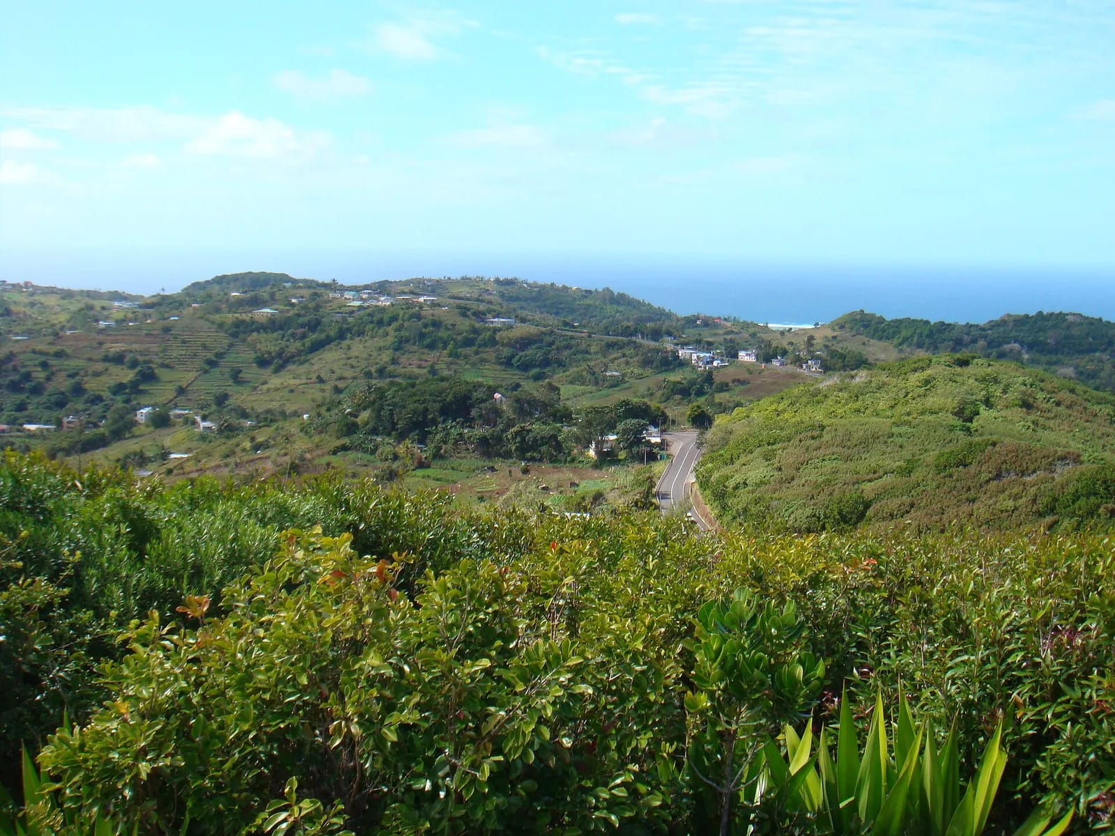 Collines verdoyantes vues depuis le Mont Limon, Rodrigues