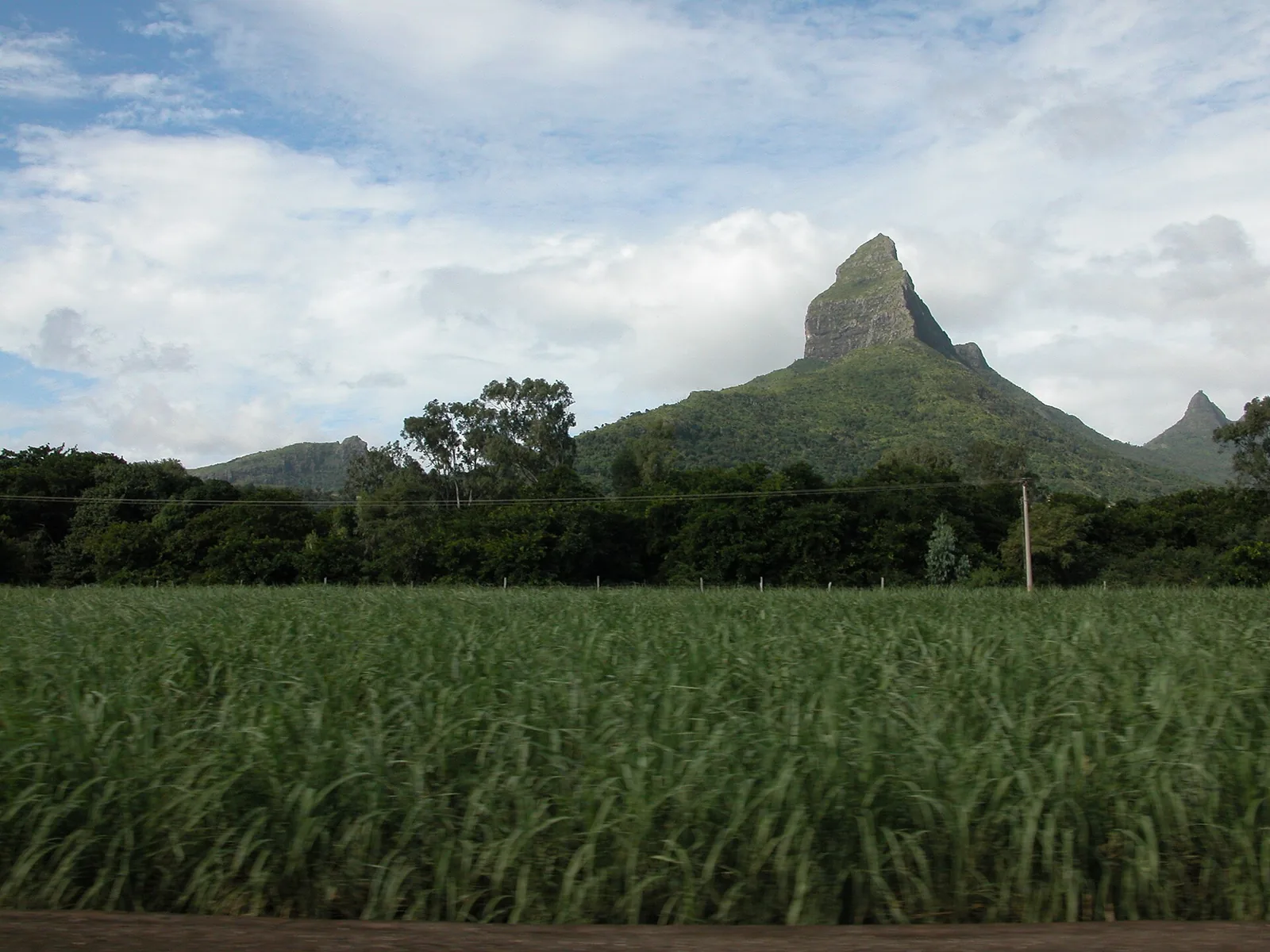 La montagne du Rempart au-dessus d'un champ de canne à sucre, côte ouest de Maurice