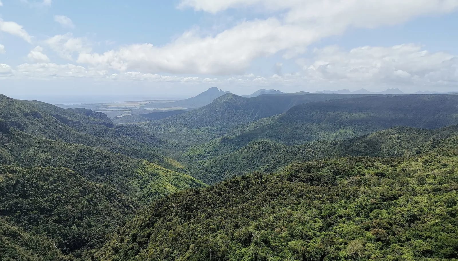 Panorama des gorges et de la forêt du parc national des gorges de la Rivière Noire, Maurice