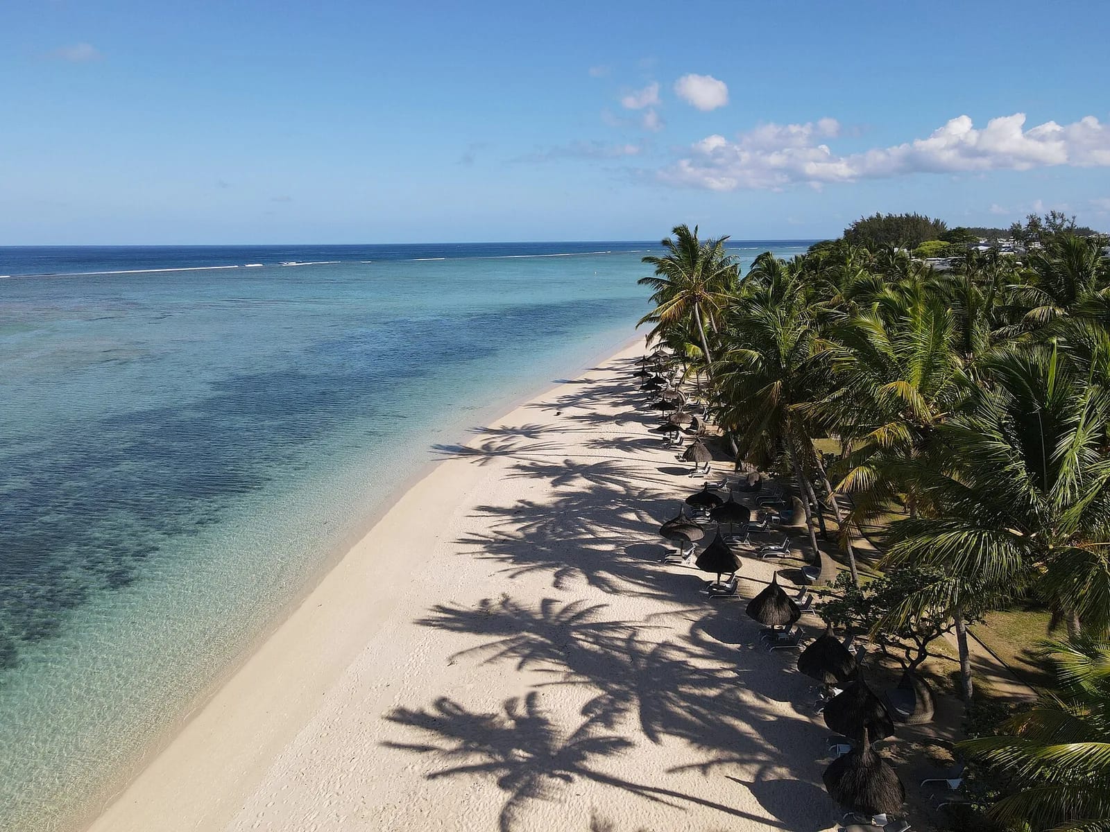 Plage de Flic en Flac bordée de filaos et lagon turquoise, côte ouest de Maurice