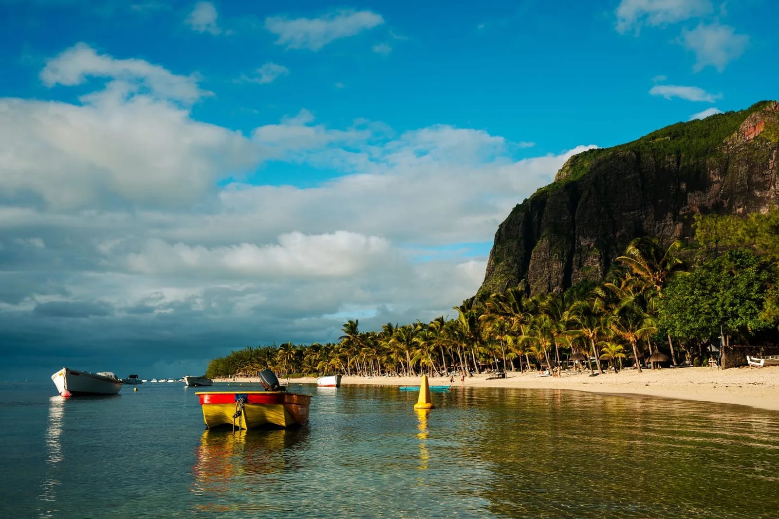 Barques colorées sur une eau calme et plage de cocotiers au pied du Morne Brabant