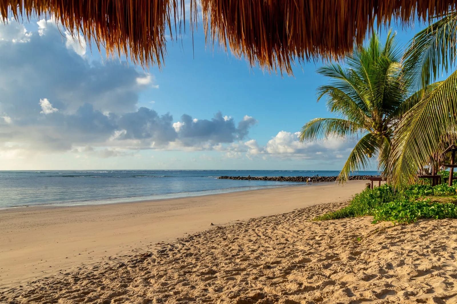 Plage de sable doré, paillote et palmier face au lagon, île Maurice