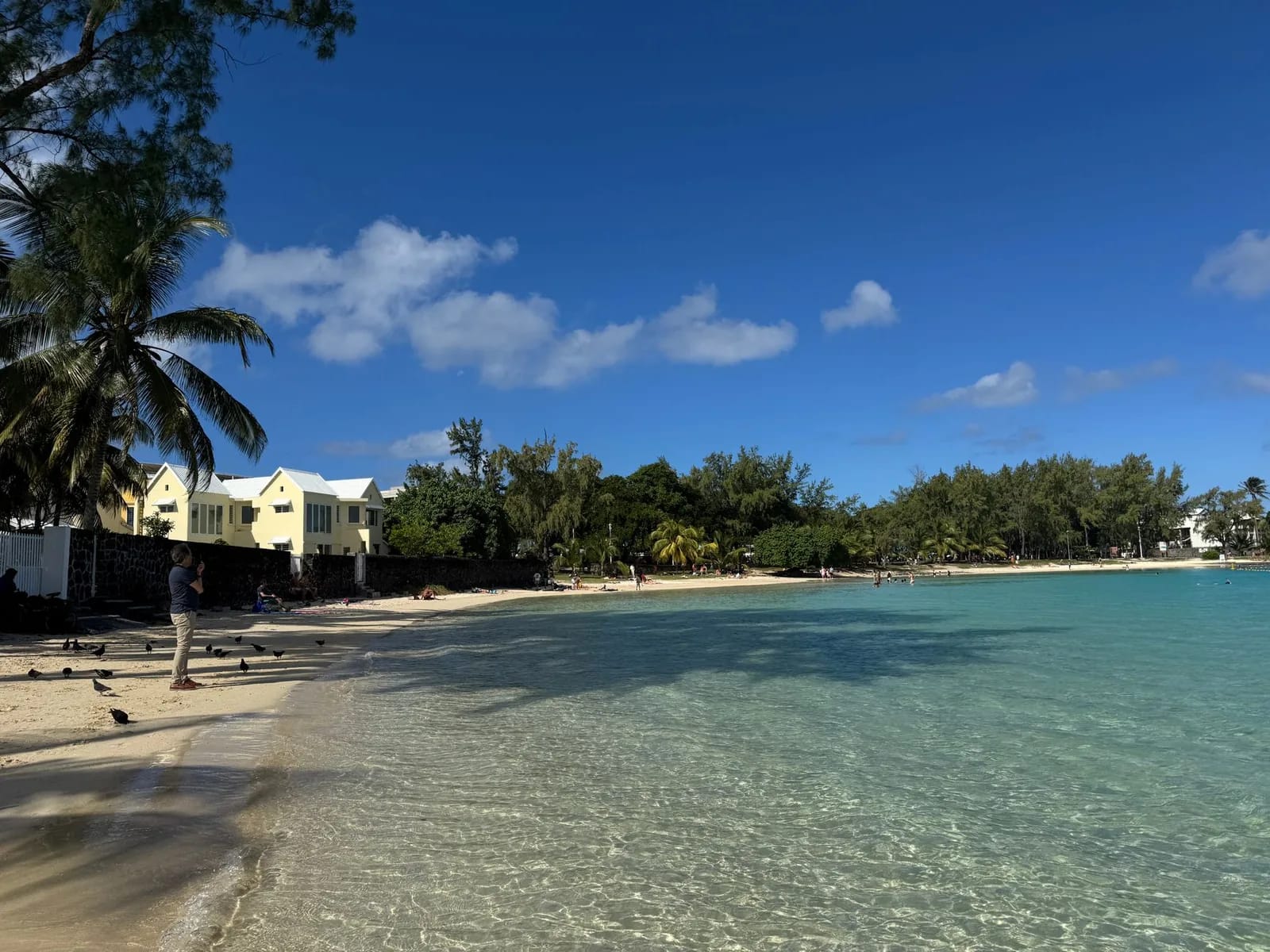 Petite plage bordée d'arbres au bord d'un lagon limpide, nord de Maurice