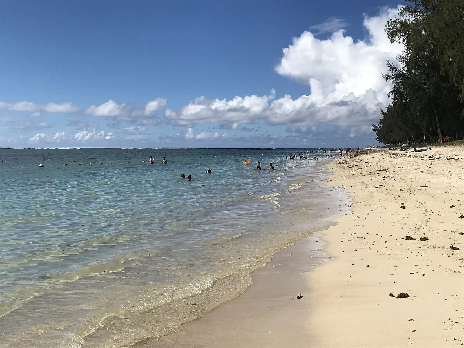 Baigneurs dans le lagon et filaos au bord de la plage publique de Flic en Flac, île Maurice