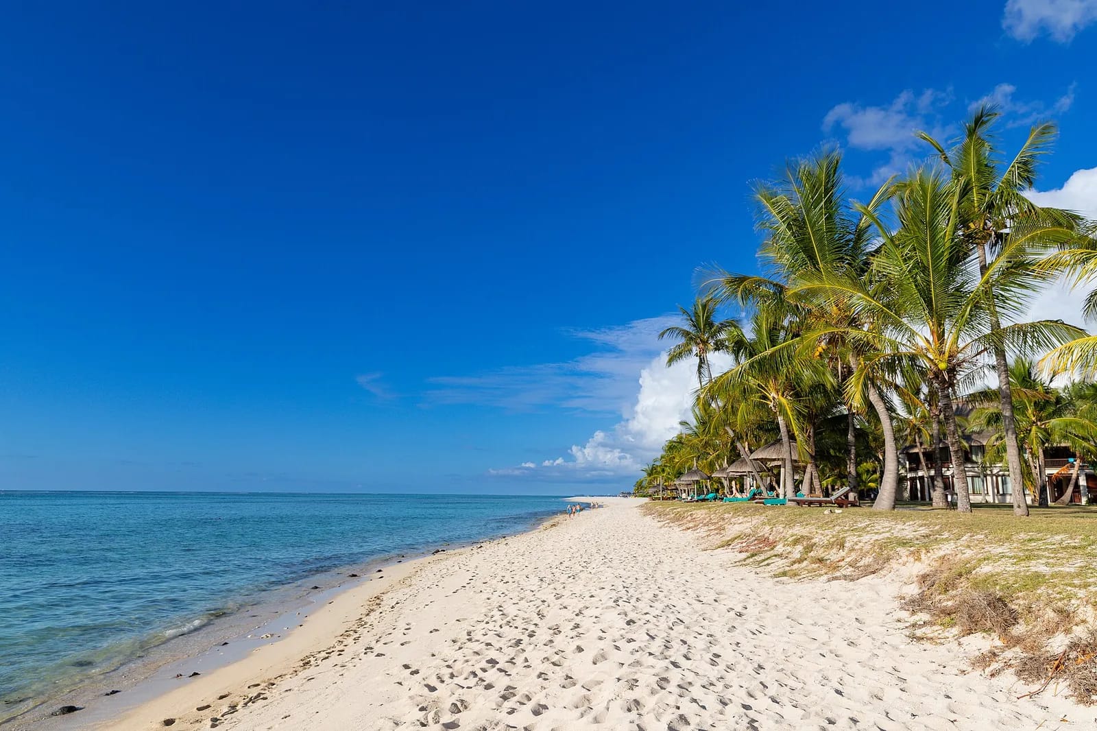 Longue plage de sable blanc du Morne bordée de cocotiers, au sud-ouest de Maurice