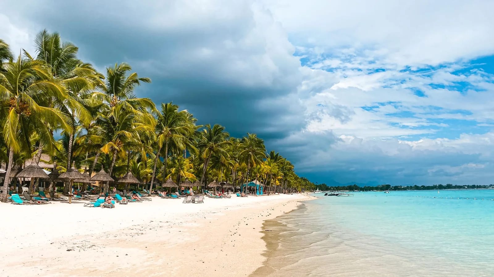 Plage de sable blanc, cocotiers et transats au bord d'un lagon turquoise, île Maurice