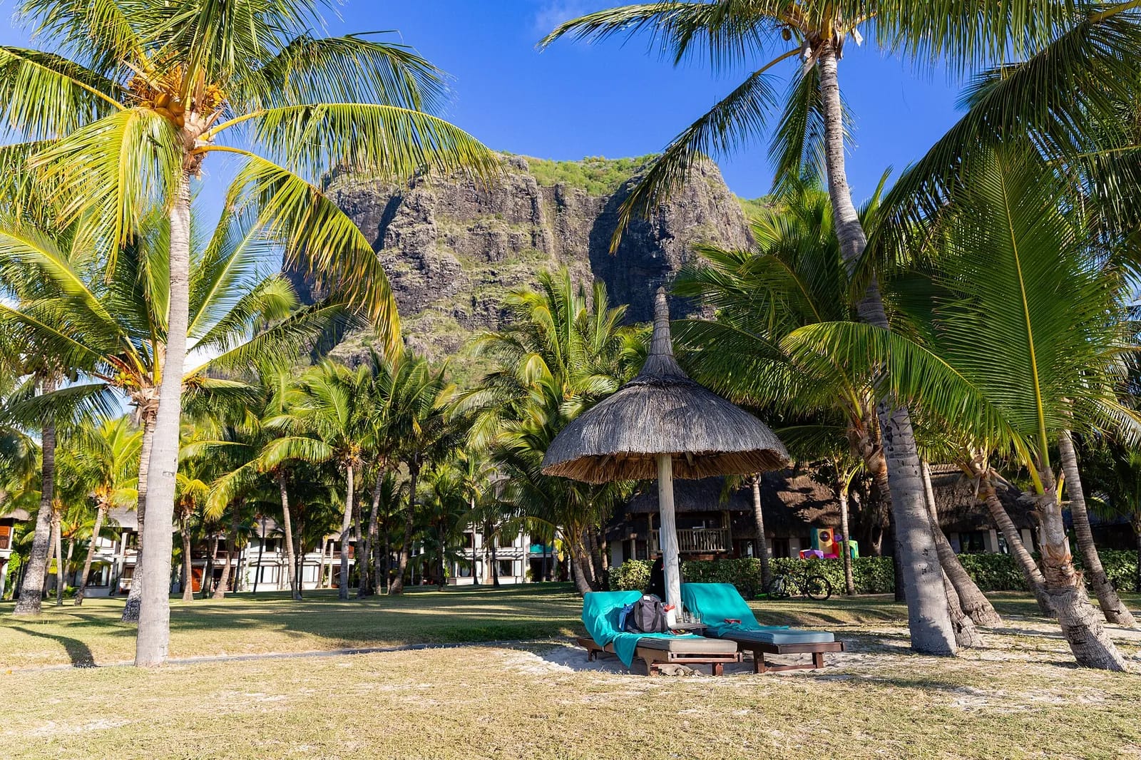 Transats et paillote sous les cocotiers d'un hôtel en bord de plage au Morne, avec la montagne en arrière-plan