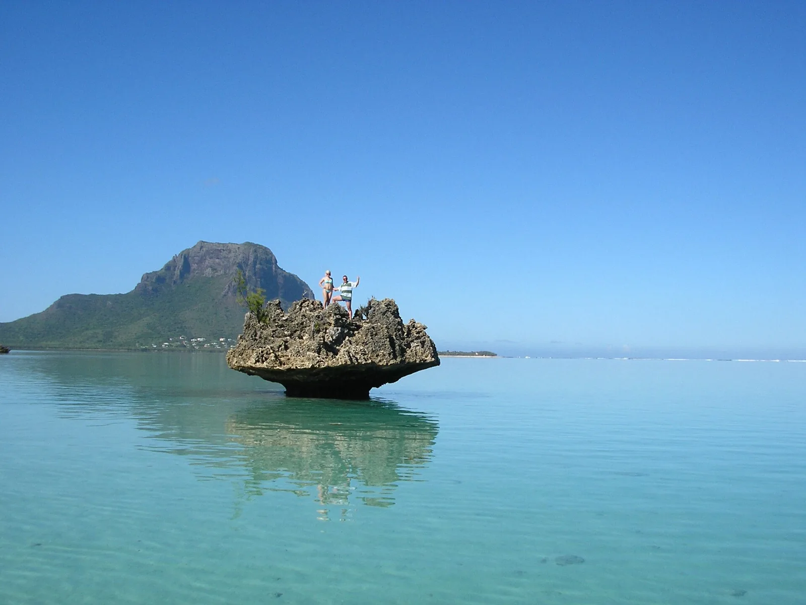 Rocher corallien dans le lagon face au Morne Brabant, sud-ouest de Maurice